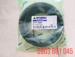 hyundai-robex-3000-phot-cho.jpg