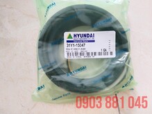 hyundai-robex-3000-phot-cho