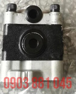 zx30-gear-pump-2.jpg