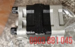 zx30-gear-pump.jpg